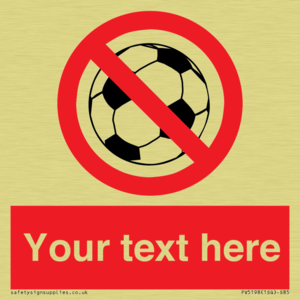 Custom No Ball Games Sign